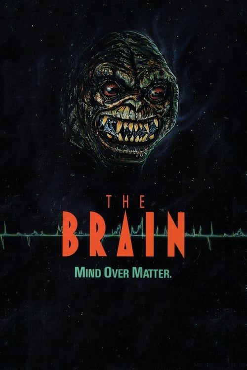 The Brain