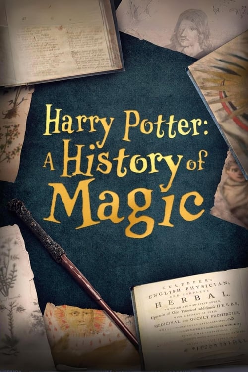 Harry Potter: A History Of Magic