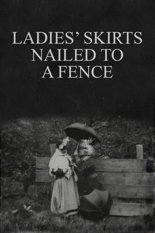 Ladies' Skirts Nailed to a Fence